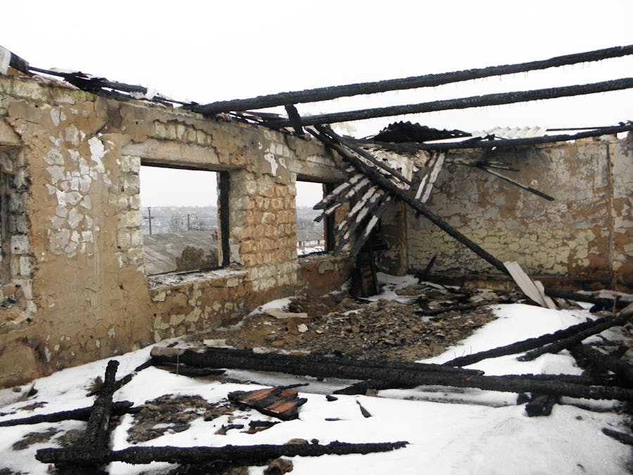 Documents prepared for INZ