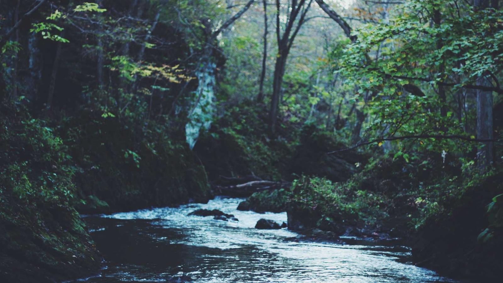 Translation and language services in Los Angeles