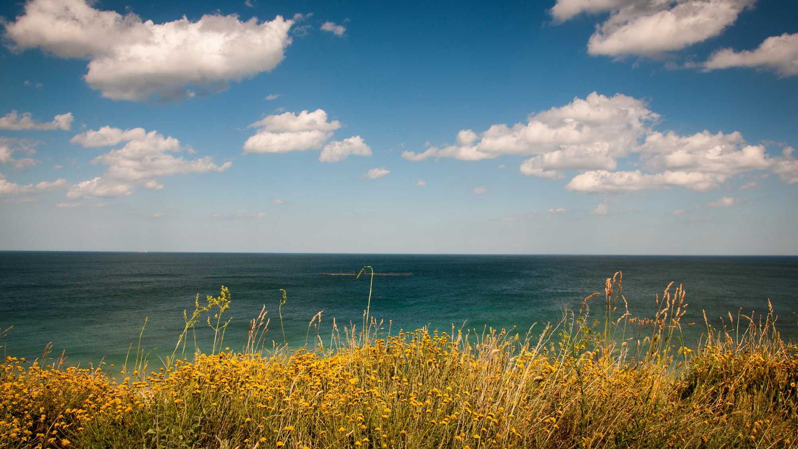 Translation and language services in Manchester