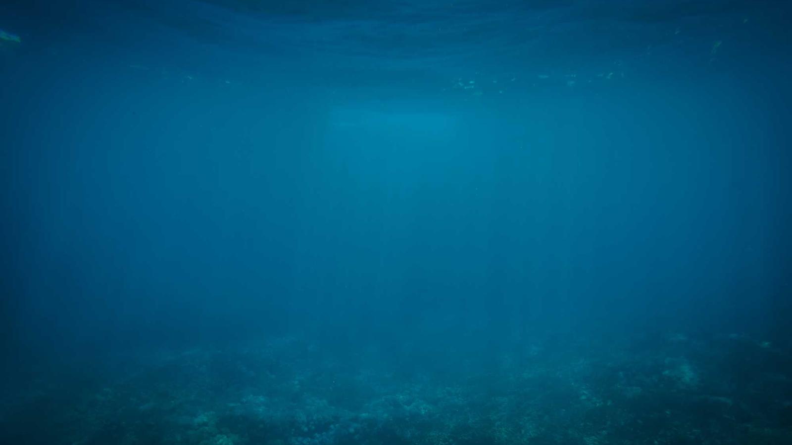 Translation and language services in Zurich