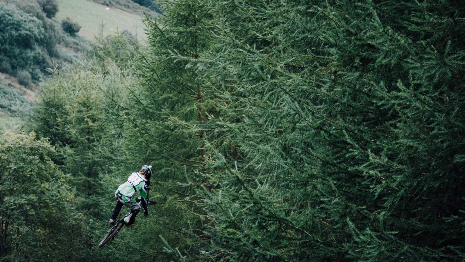 Translation and language services in Dubai