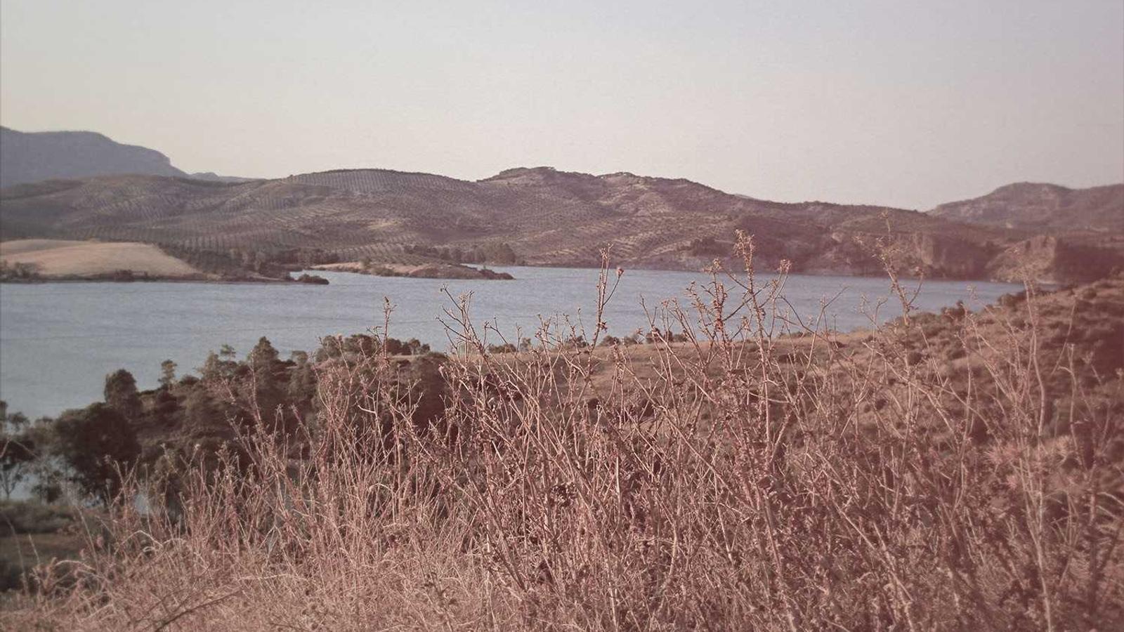 Translation and language services in Riyadh