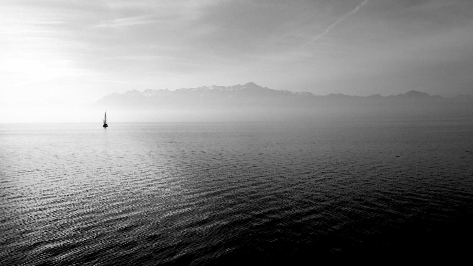 Translation and language services in Doha