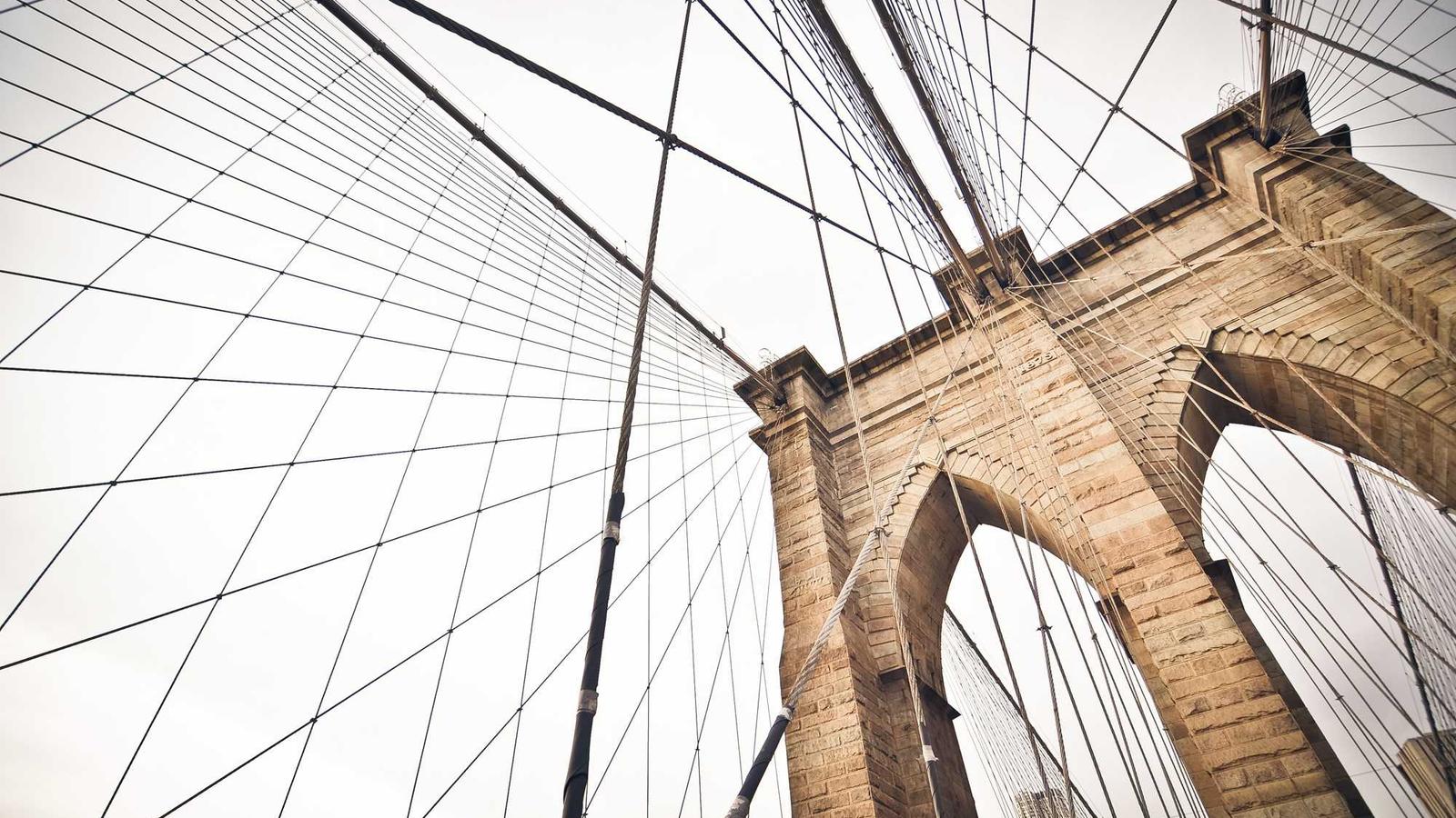 Translation and language services in Saint Petersburg