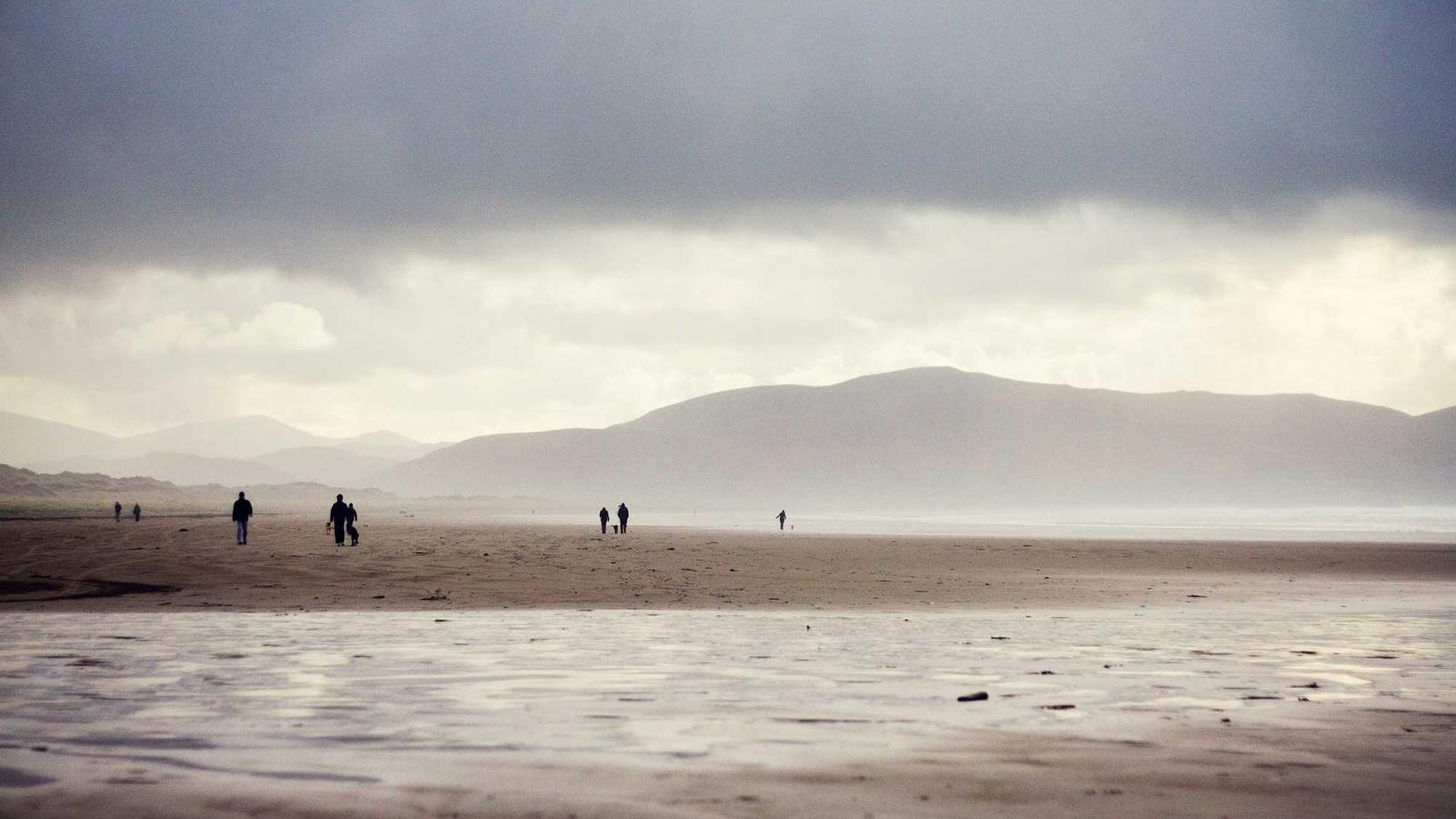 Translation and language services in Tokyo