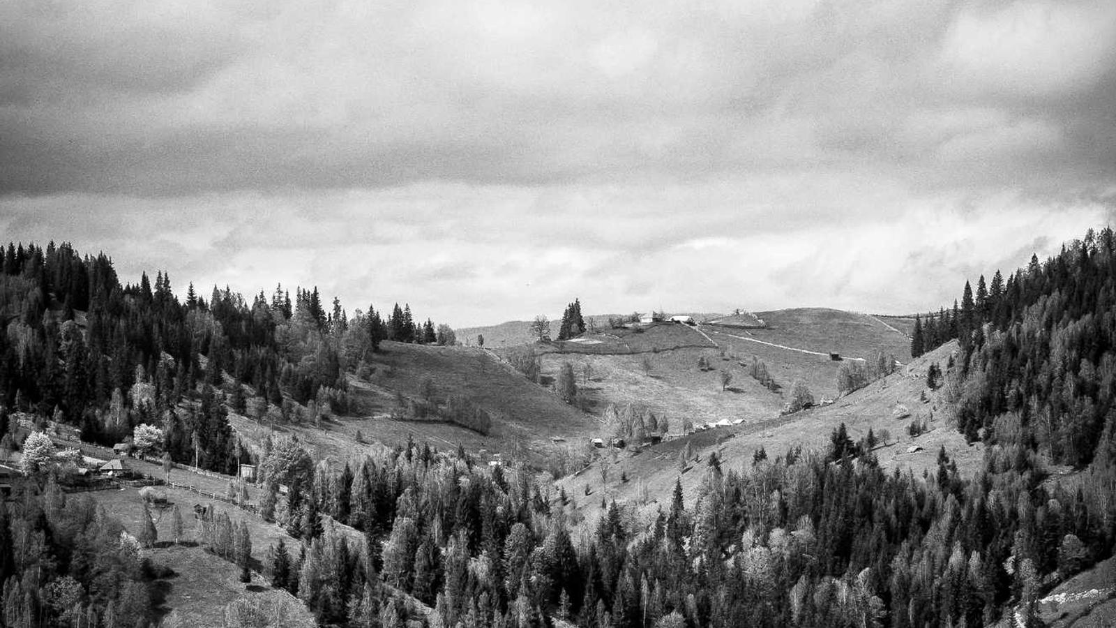 Translation and language services in Valencia