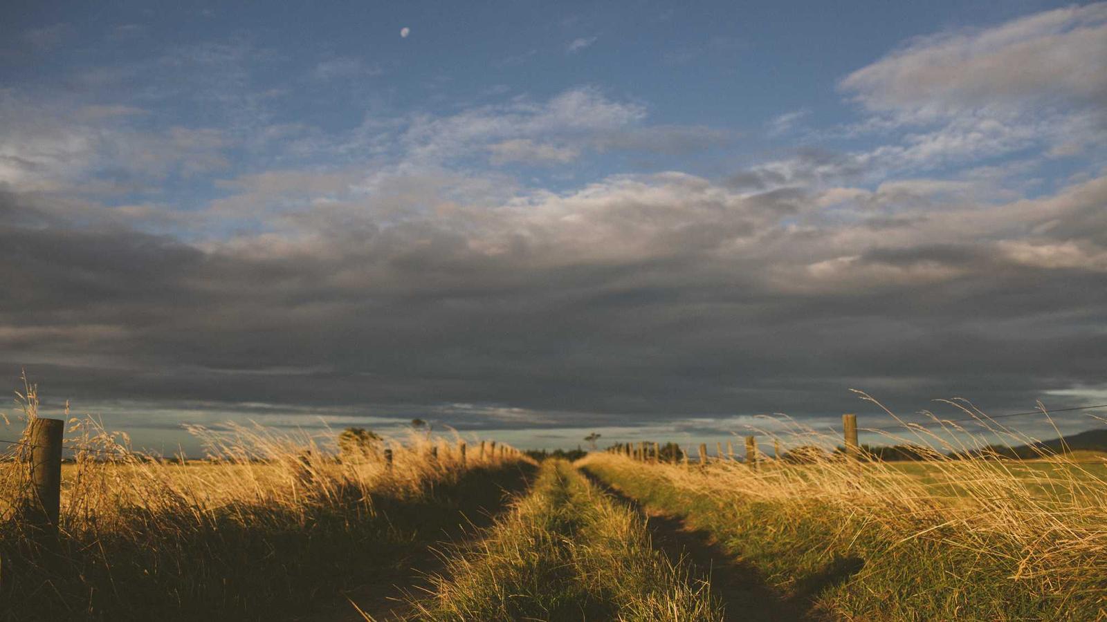 Translation and language services in Cologne