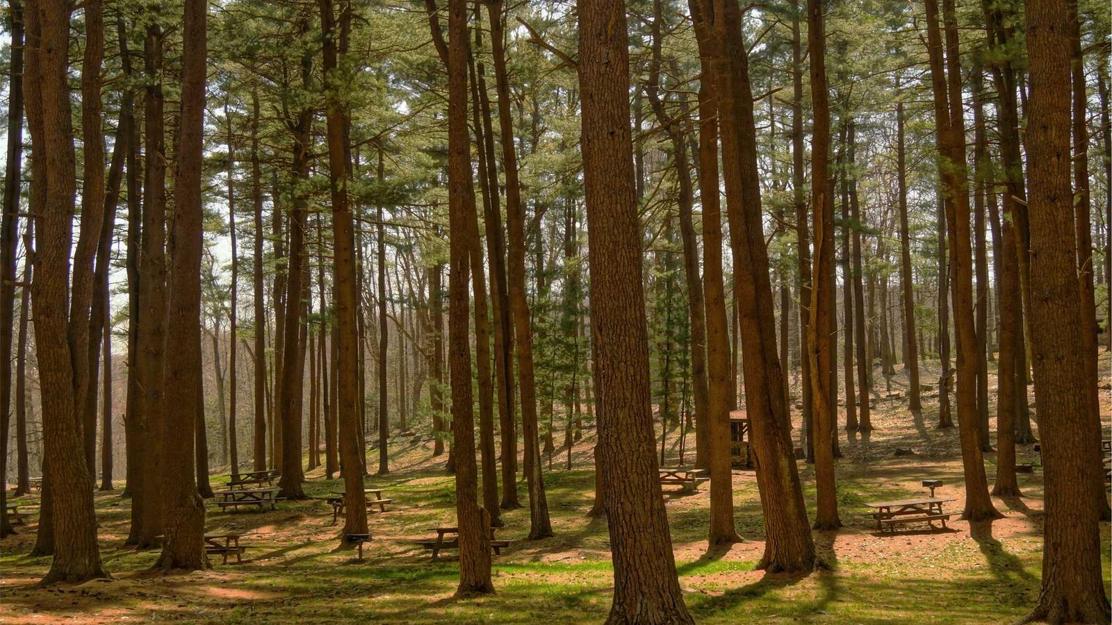 Translation and language services in Naples