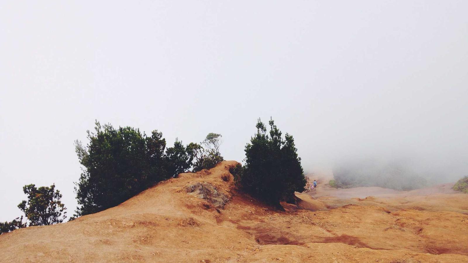 Translation and language services in Rotterdam