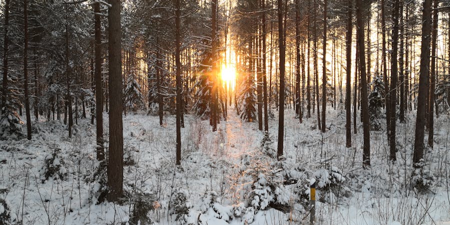 Non Profit, NGO & Development Sector Translation translation