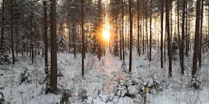 Non Profit, NGO & Development Sector Translation