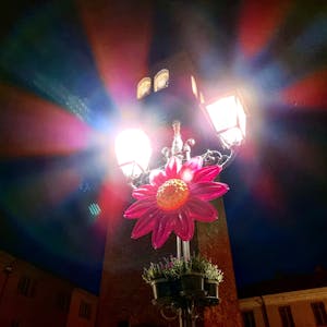 Telecommunication & Connectivity Translation