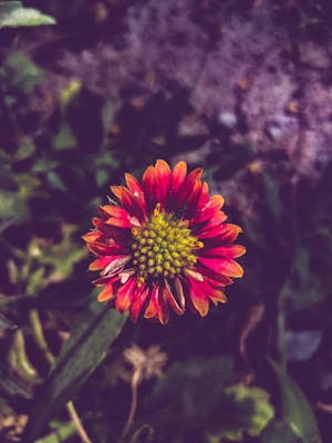 Tour operator catalogue Project