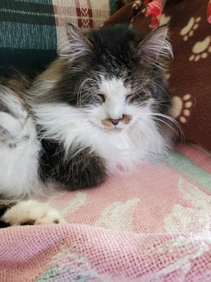 Instrukcje obsługi i opakowania wyrobów medycznych Projekt