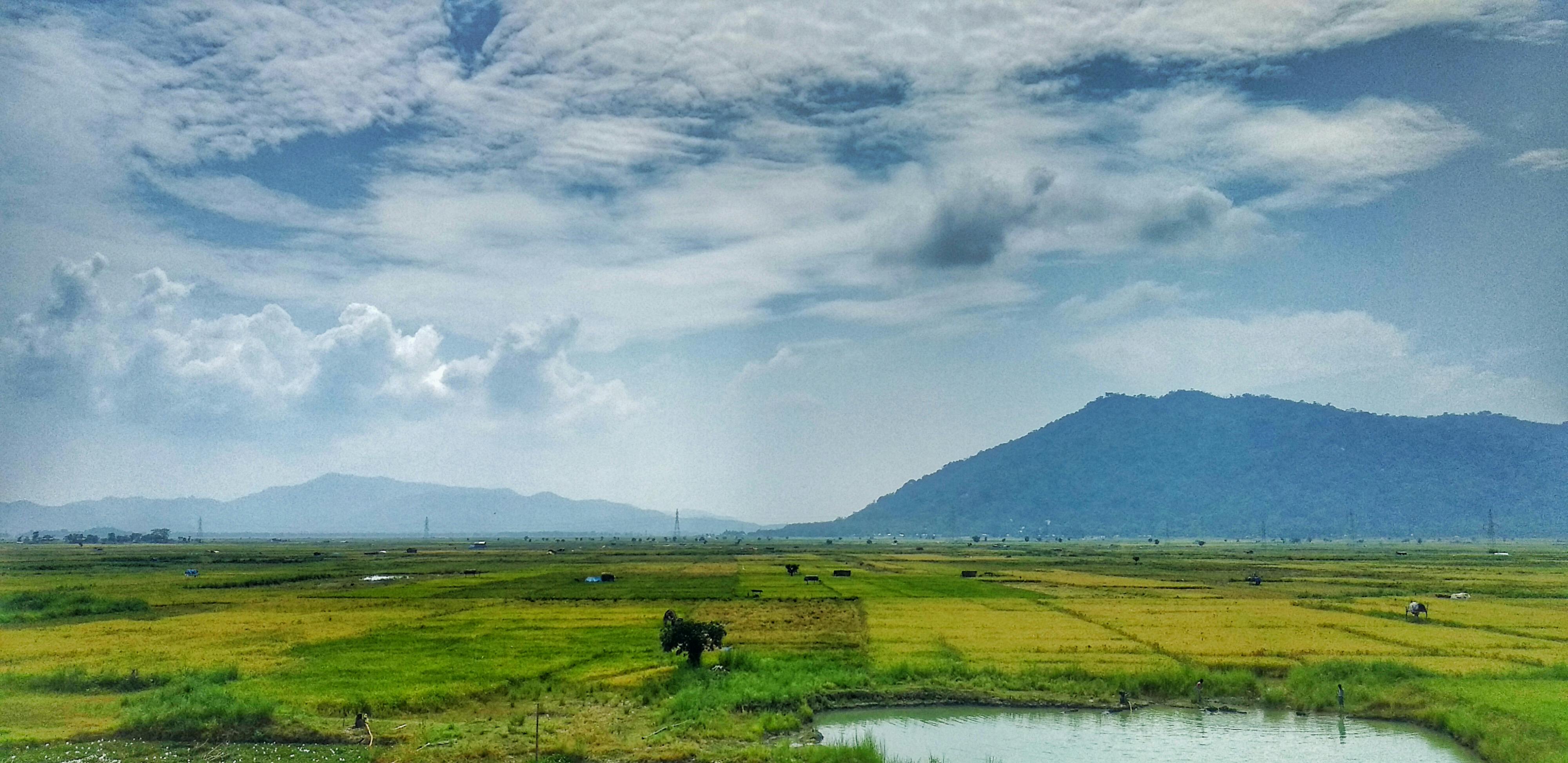 Tłumacz Mandarin Chinese na spotkaniu