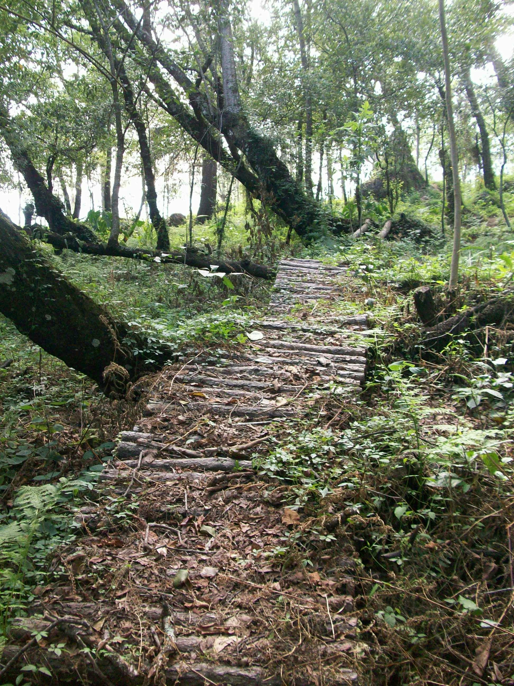Tłumacz Greek na spotkaniu