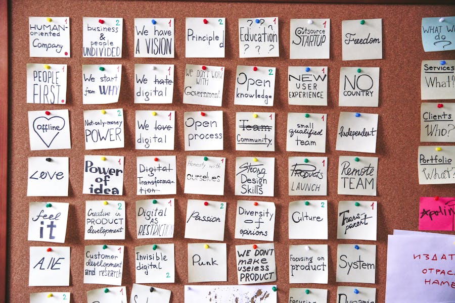 Professional Translation Services